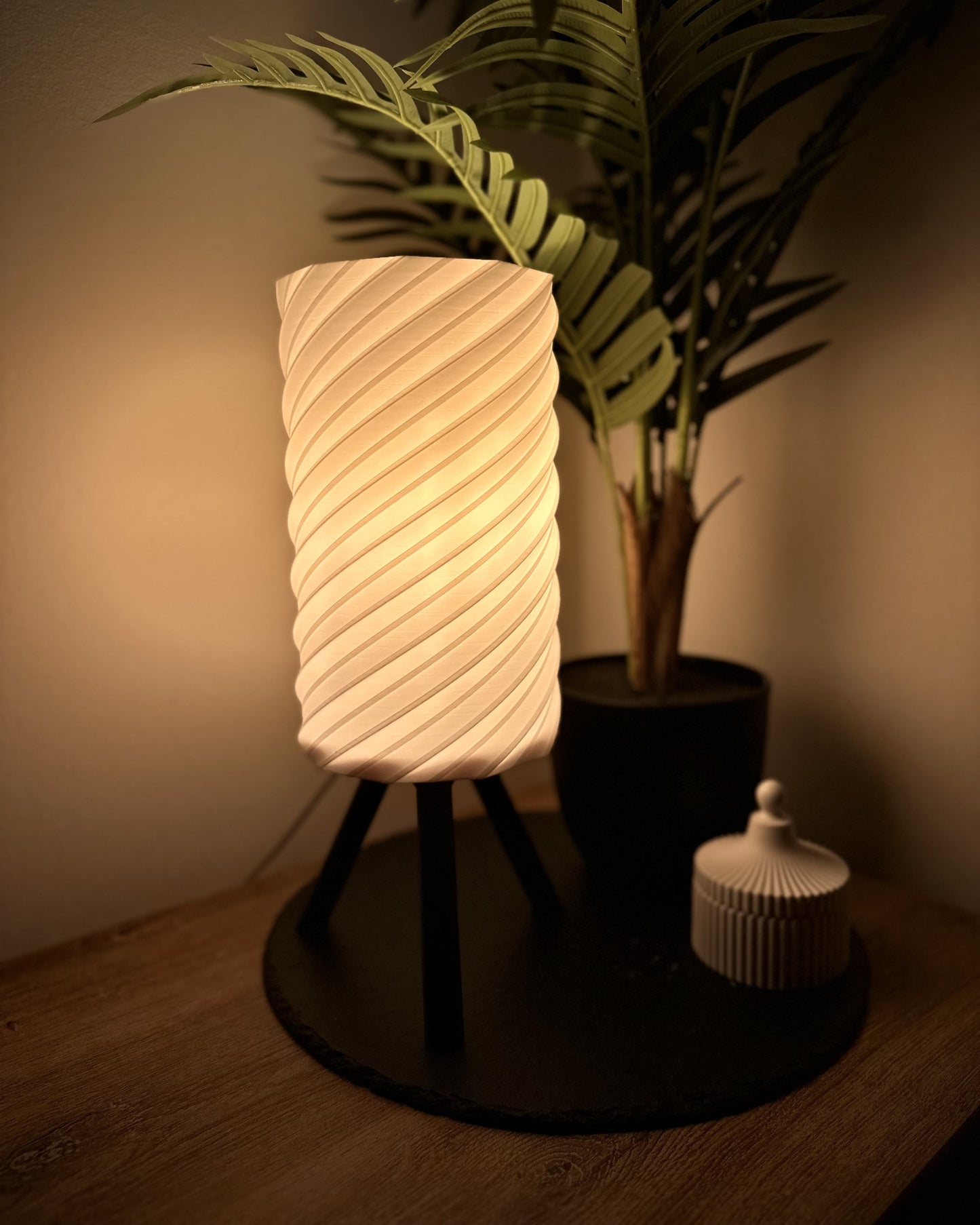 Dimmbare Lampe mit warmweißem Spiralschirm und Dreibein-Gestell, arrangiert mit dekorativer Pflanze und Keramikdose